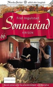 Krisen (ebok) av Frid Ingulstad