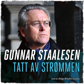 Tatt av strømmen (lydbok) av Gunnar Staalesen