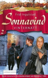 Vinternatt (ebok) av Frid Ingulstad