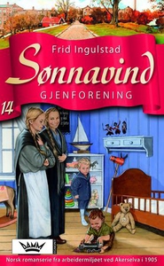 Gjenforening (ebok) av Frid Ingulstad