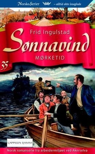 Mørketid (ebok) av Frid Ingulstad