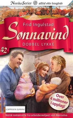 Dobbel lykke (ebok) av Frid Ingulstad