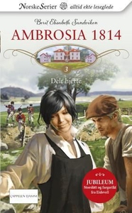 Delt hjerte (ebok) av Berit Elisabeth Sandvik