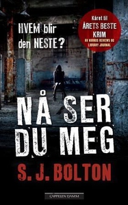 Nå ser du meg (ebok) av S.J. Bolton