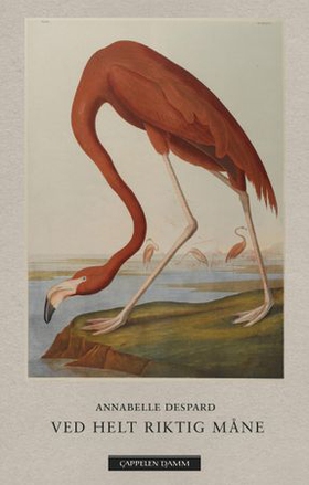 Ved helt riktig måne - dikt (ebok) av Annabelle Despard