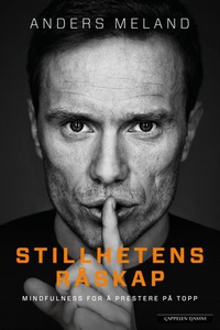 Stillhetens råskap (ebok) av Anders Meland