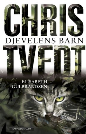 Djevelens barn (ebok) av Elisabeth Gulbrandsen