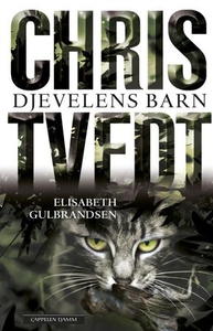 Djevelens barn (ebok) av Elisabeth Gulbrandse