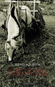Isbrann (ebok) av Kjersti Kollbotn