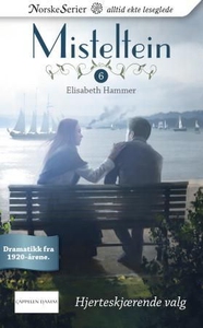 Hjerteskjærende valg (ebok) av Elisabeth Hamm