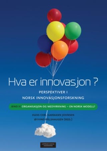 Hva er innovasjon? (ebok) av