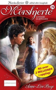 Gjennom skjærsilden (ebok) av Anne-Lise Boge