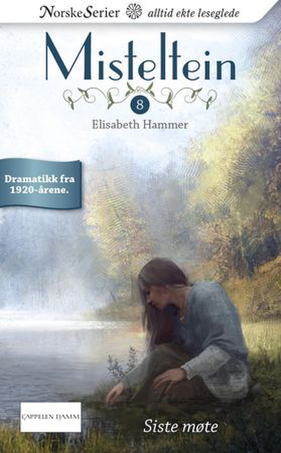 Siste møte (ebok) av Elisabeth Hammer