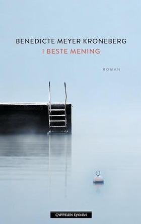 I beste mening (ebok) av Benedicte Meyer Kroneberg