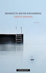 I beste mening (ebok) av Benedicte Meyer Kron