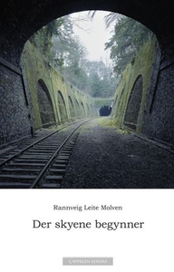 Der skyene begynner (ebok) av Rannveig Leite