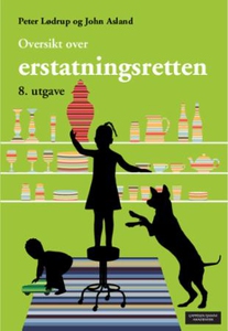 Oversikt over erstatningsretten (ebok) av Joh