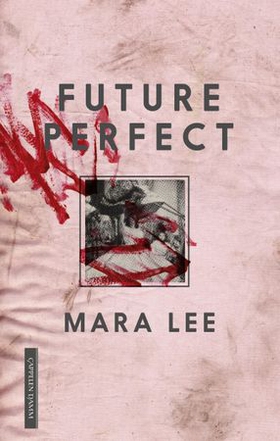 Future perfect (ebok) av Mara Lee