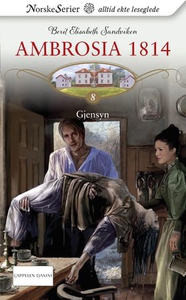 Gjensyn (ebok) av Berit Elisabeth Sandviken