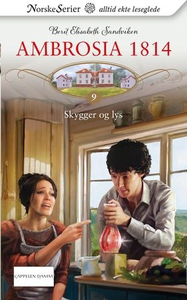 Skygger og lys (ebok) av Berit Elisabeth Sand