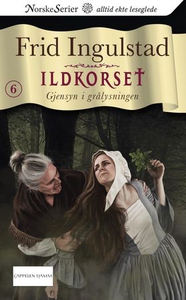 Gjensyn i grålysningen (ebok) av Frid Ingulst