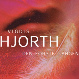 Den første gangen (lydbok) av Vigdis Hjorth
