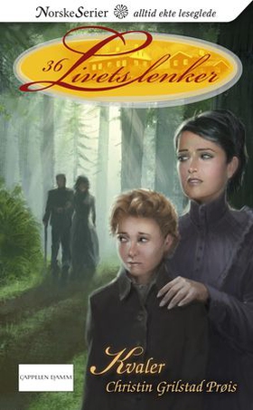 Kvaler (ebok) av Christin Grilstad Prøis