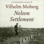 Nelson Settlement