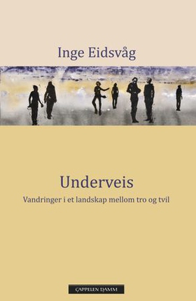 Underveis - vandringer i et landskap mellom tro og tvil (ebok) av Inge Eidsvåg