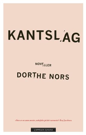 Kantslag (ebok) av Dorthe Nors