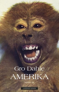 Amerika (ebok) av Gro Dahle