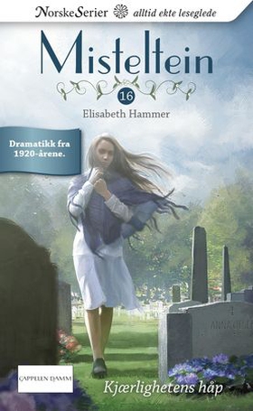 Kjærlighetens håp (ebok) av Elisabeth Hamme