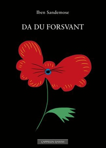 Da du forsvant (ebok) av Iben Sandemose