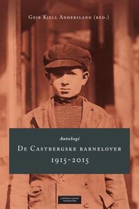 De Castbergske barnelover 1915-2015 (ebok) av