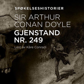 Gjenstand nr. 249