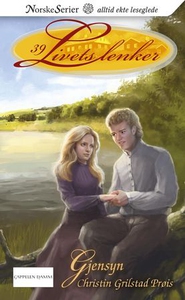 Gjensyn (ebok) av Christin Grilstad Prøis