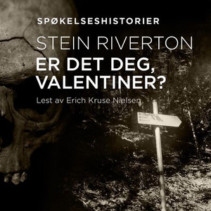 Er det deg, Valentiner? (lydbok) av Stein Riv