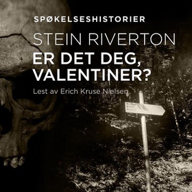 Er det deg, Valentiner? (lydbok) av Stein Riverton