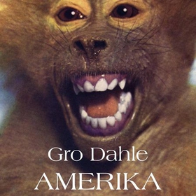 Amerika (lydbok) av Gro Dahle
