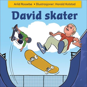 David skater (lydbok) av Arild Rossebø