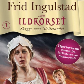 Skygge over Slettelandet (lydbok) av Frid Ingulstad