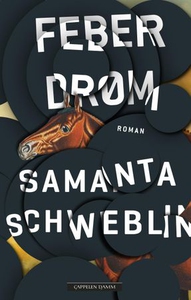 Feberdrøm (ebok) av Samanta Schweblin