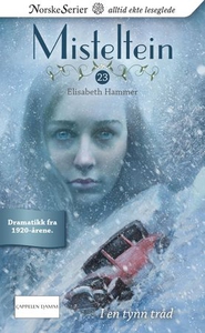 I en tynn tråd (ebok) av Elisabeth Hammer