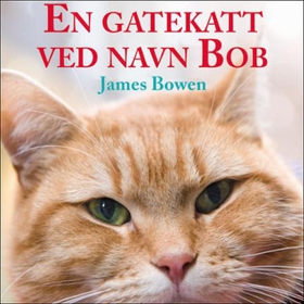 En gatekatt ved navn Bob (lydbok) av James Bo