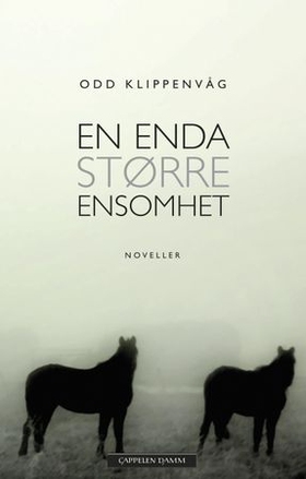 En enda større ensomhet - noveller (ebok) av Odd Klippenvåg