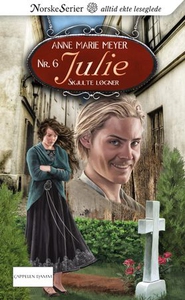 Skjulte løgner (ebok) av Anne Marie Meyer