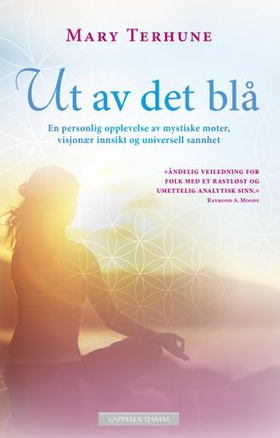 Ut av det blå - en personlig opplevelse av mystiske møter, visjonær innsikt og universell sannhet (ebok) av Mary Terhune