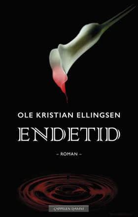 Endetid (ebok) av Ole Kristian Ellingsen