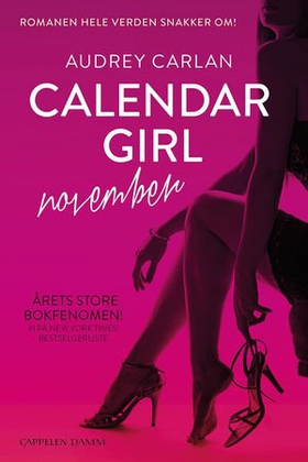 Calendar girl - november (ebok) av Audrey Carlan