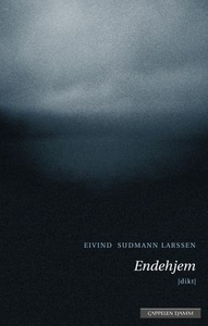 Endehjem (ebok) av Eivind Larssen